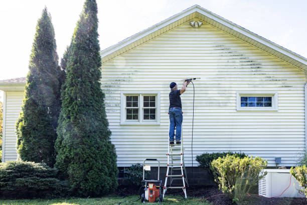 Best Patio and Deck Pressure Washing  in Tillmans Corner, AL